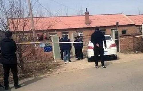 武邑中学爆料案件最新,揭秘校园疑云背后的真相