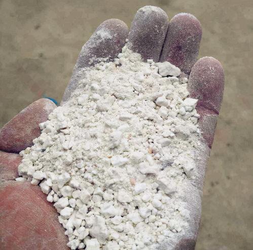 红薯淀粉最新爆料视频,最新爆料视频深度解析